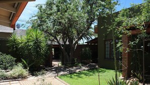 A courtyard with a large tree, a brick building, and various plants. - Klein Windhoek Guesthouse (Windhoek)