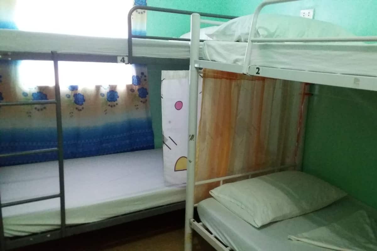 Shared Dormitory, Mixed Dorm (6 Beds)