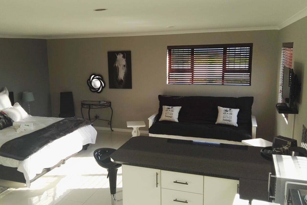 Studio with view | 1 bedroom, desk, WiFi (free), bed sheets