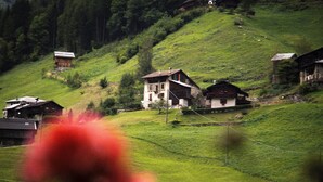 A traditional chalet-style building with a sloped roof, situated on a hillside with a view of the surrounding forest.