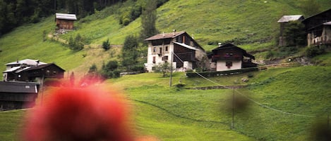 Vue sur les montagnes