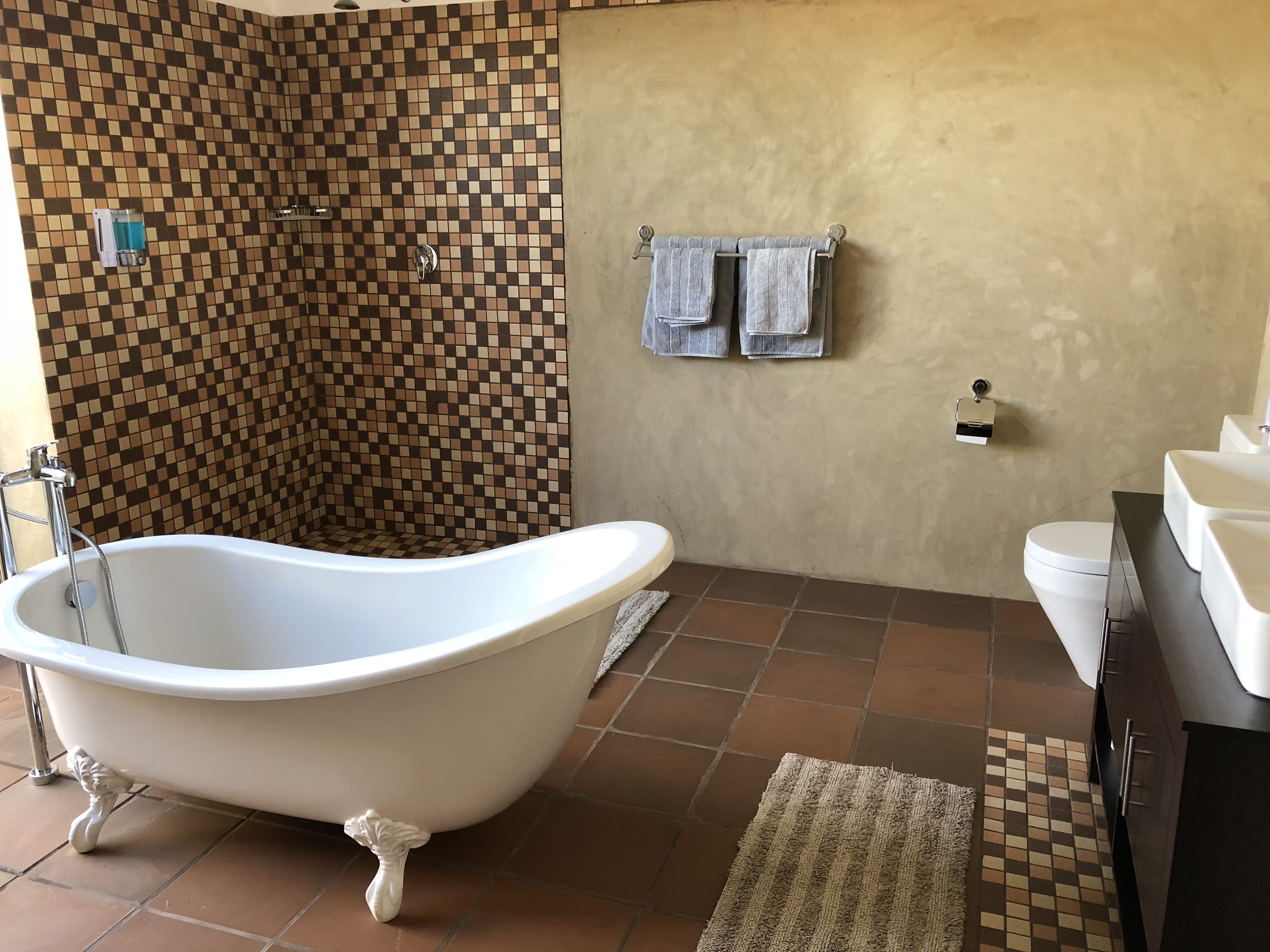 Casa | Banheiro | Toalhas de banho, sabonete, shampoo, papel higiênico
