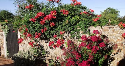 Les Belles Époques B&B