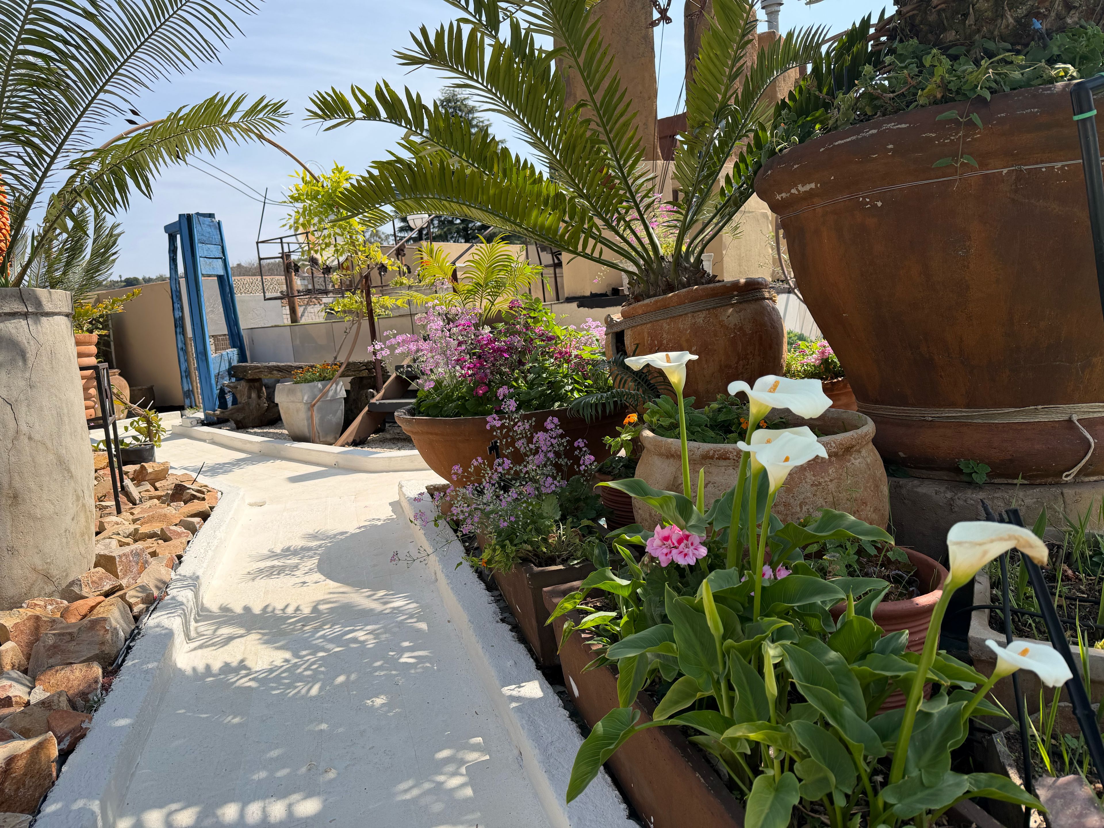 Een pad omzoomd met diverse potplanten en bloemen, dat leidt naar de ingang van een gebouw.
