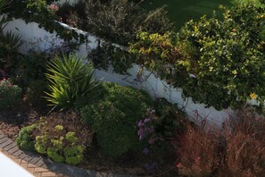 Vista desde la propiedad