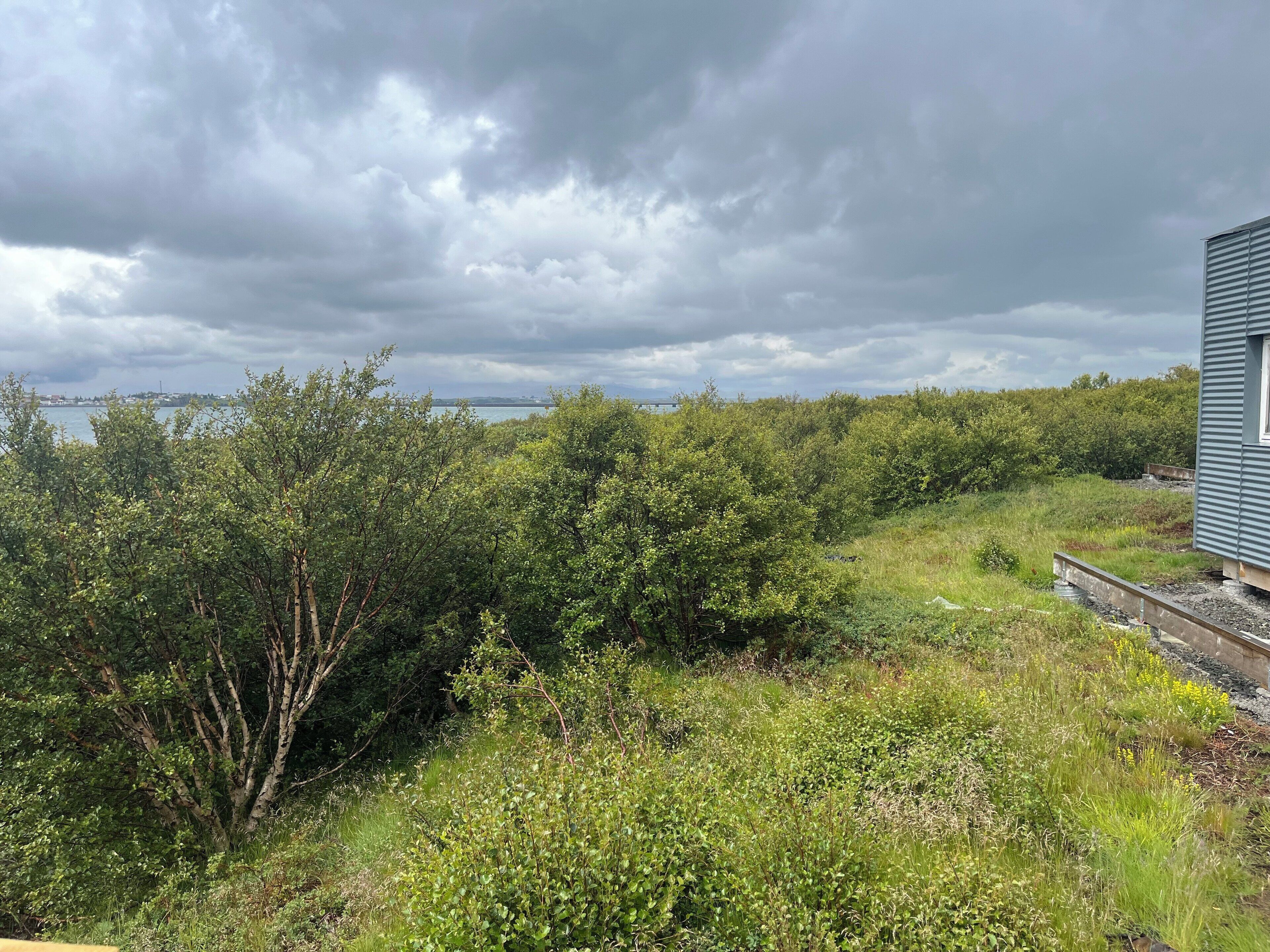 Eine Küstenlandschaft mit üppigem Grün und Blick auf das Meer unter einem bewölkten Himmel.