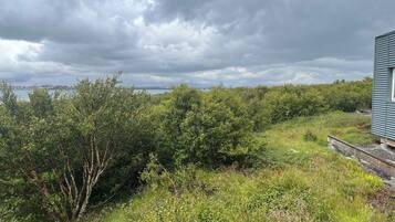 Deluxe-bungalow | Udsigt fra værelset