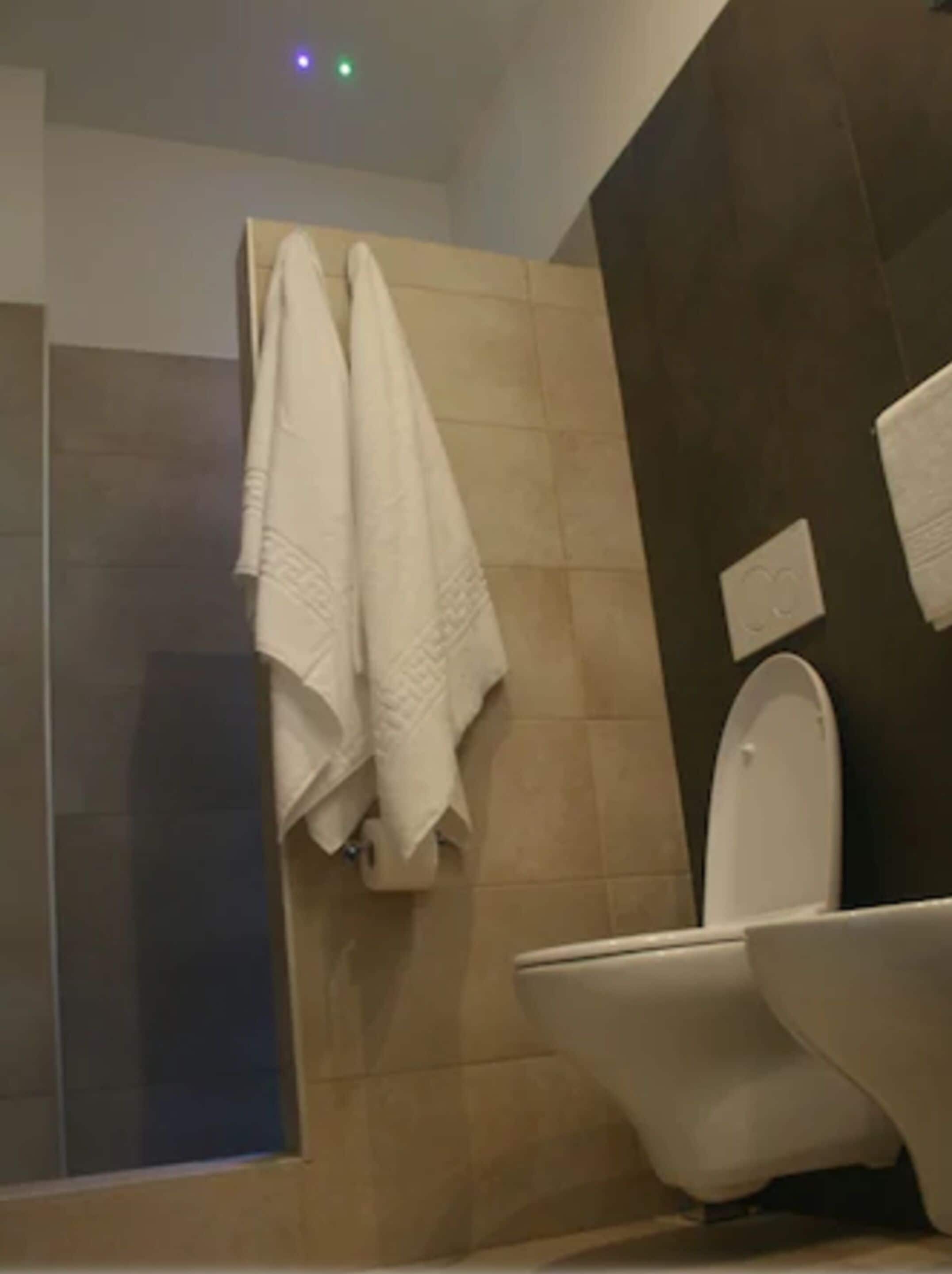 deluxe double or twin room | bathroom | shower, free toiletries, hair dryer, towels