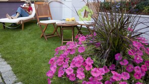 Terras