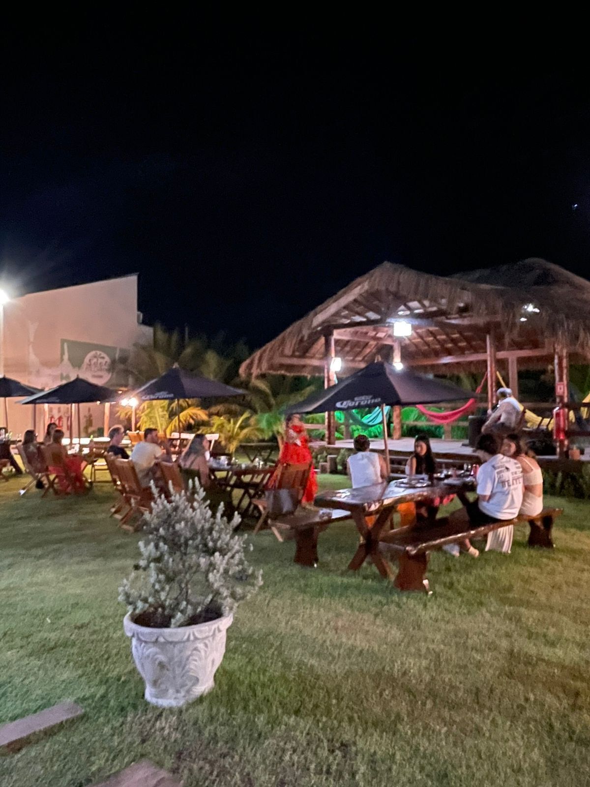 Un espace de restauration en plein air avec des tables et des chaises, une structure à toit de chaume et une grande plante en pot.