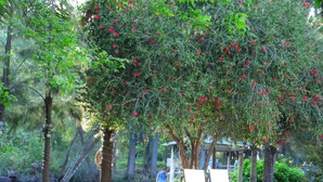 Jardín