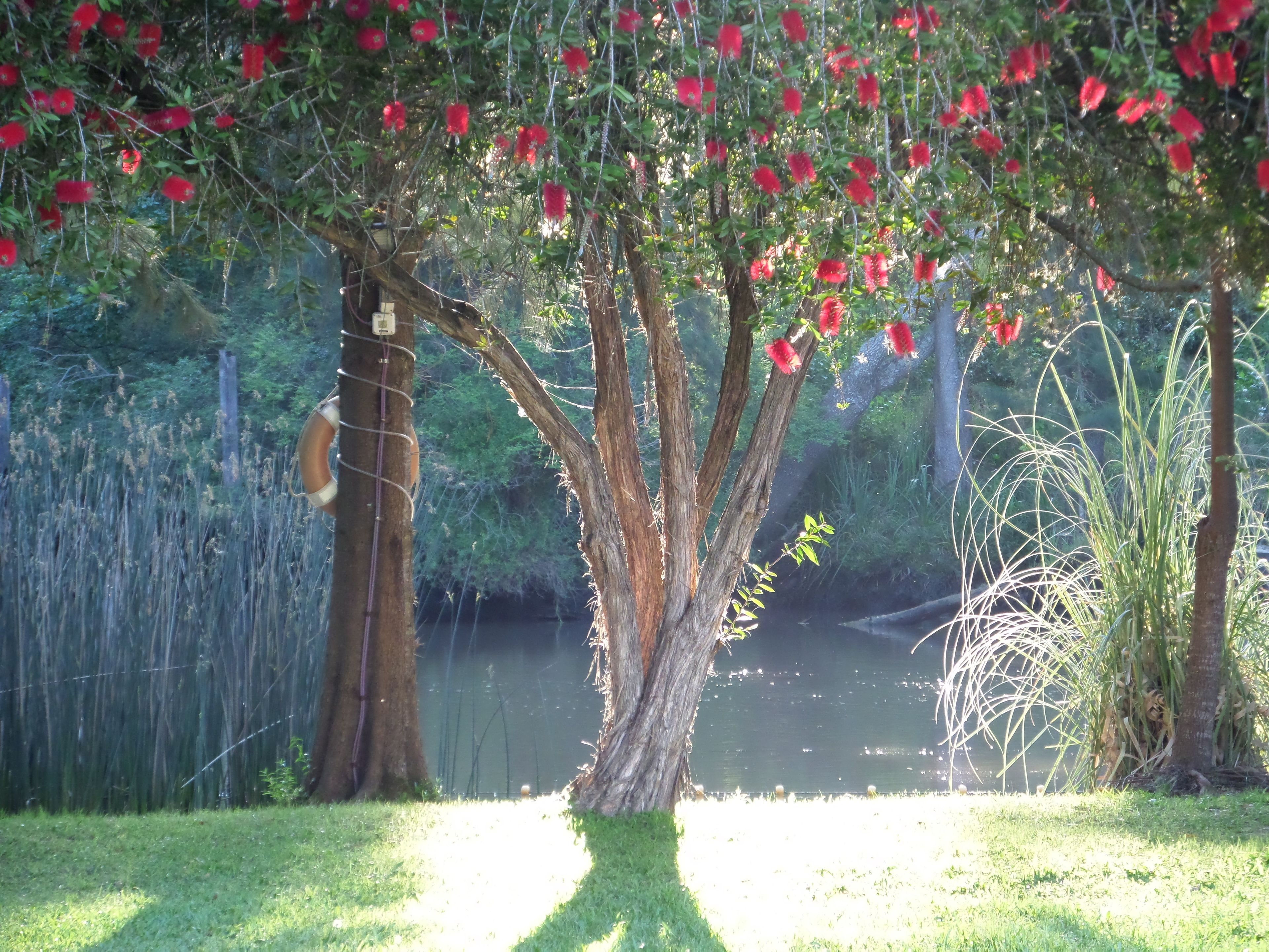 Jardín