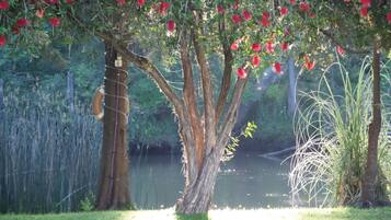 Jardín