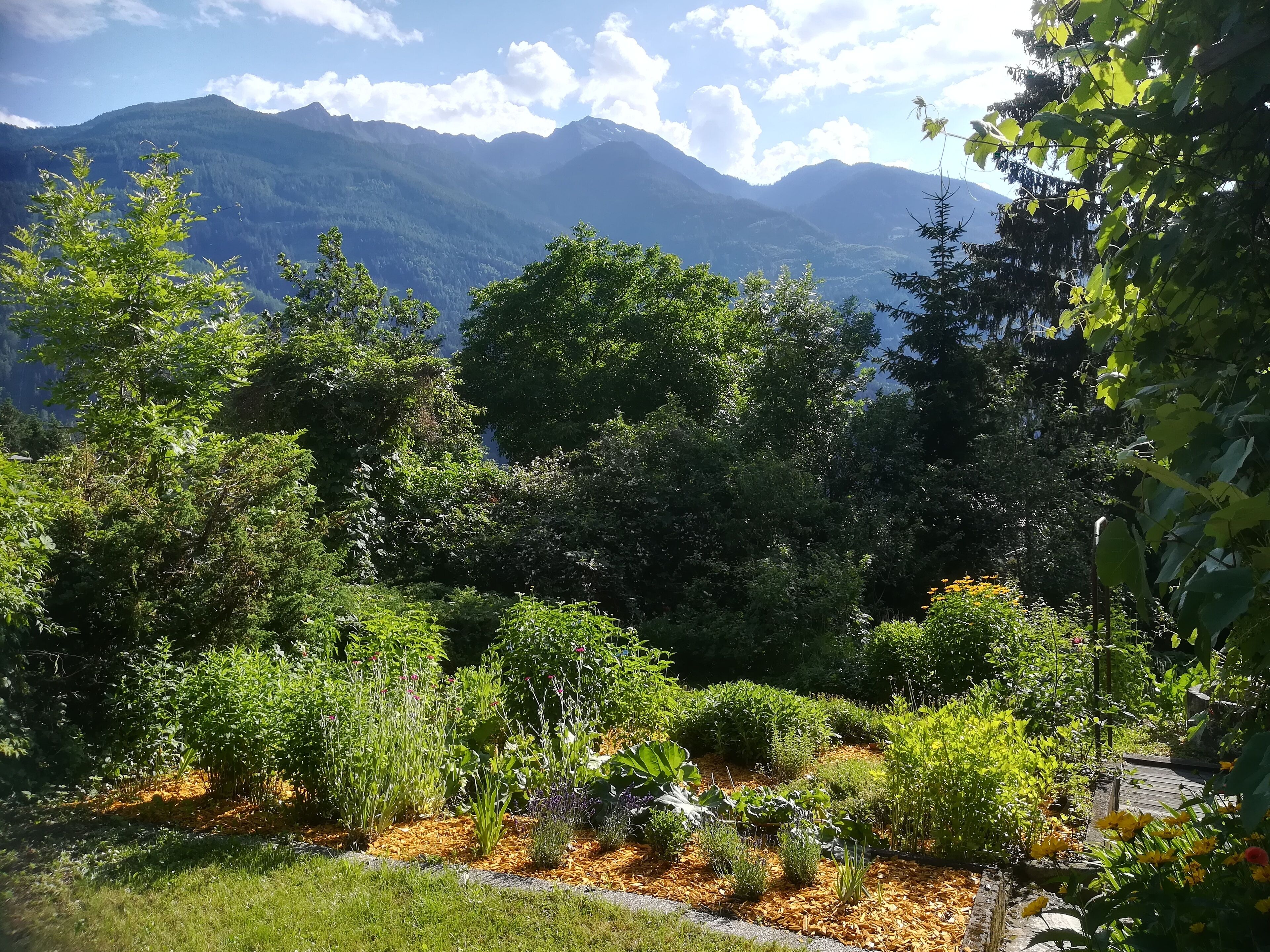 Áreas de la propiedad