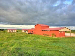 Exterior - Tumble Weed Cabin of Lonesome Wind Ranch (Floresville)
