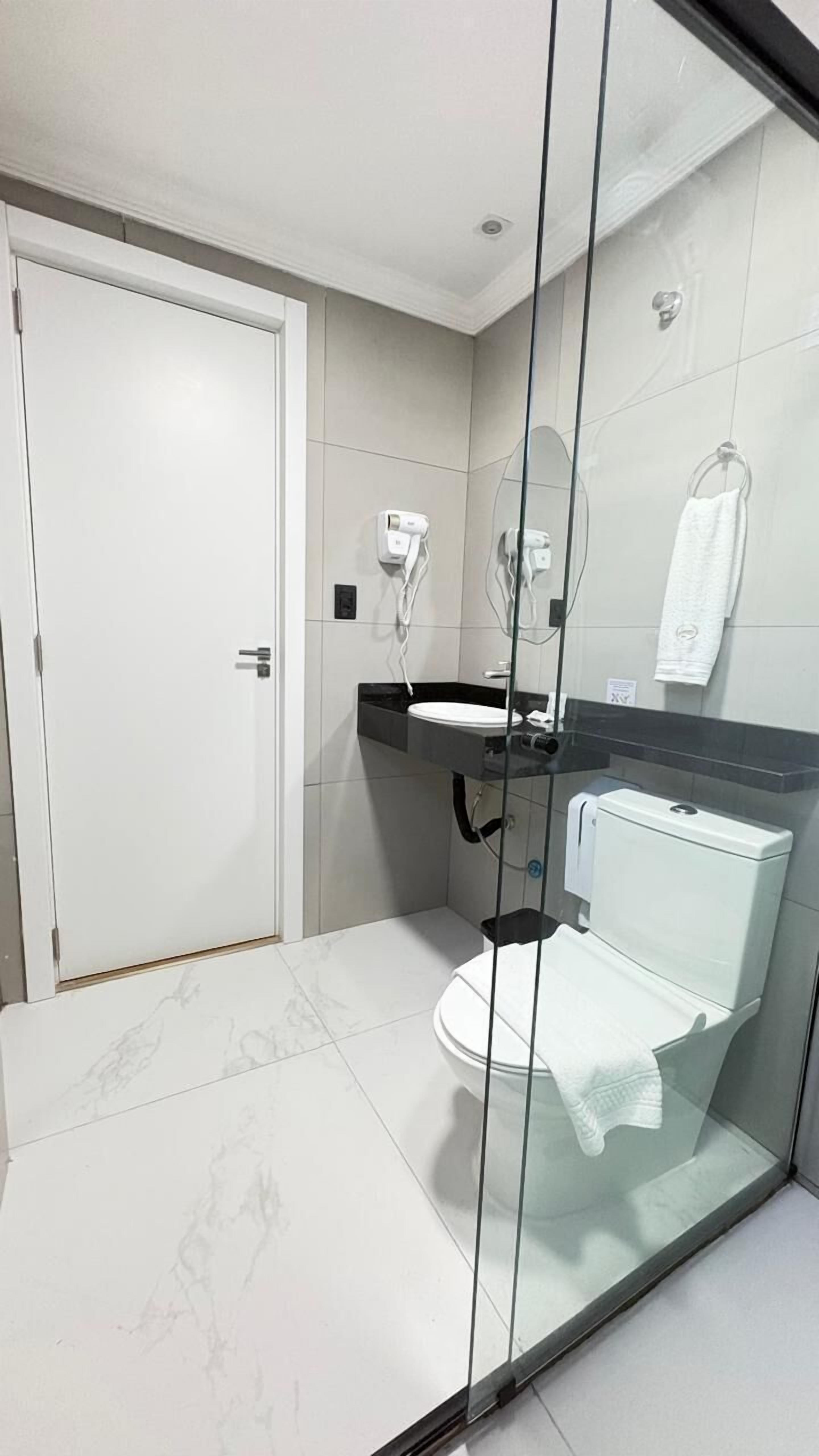 A modern bathroom with a glass shower enclosure, a white toilet, and a black countertop with a sink.