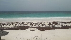 On the beach - The Palm House with Swimming Pool and Beach Access. (Eleuthera)