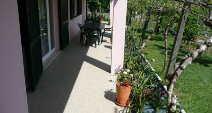 COUNTRY HOUSE BETWEEN BRAGA AND PORTO.