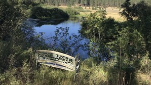 Un banc donnant sur un lac paisible, entouré d’une forêt dense.