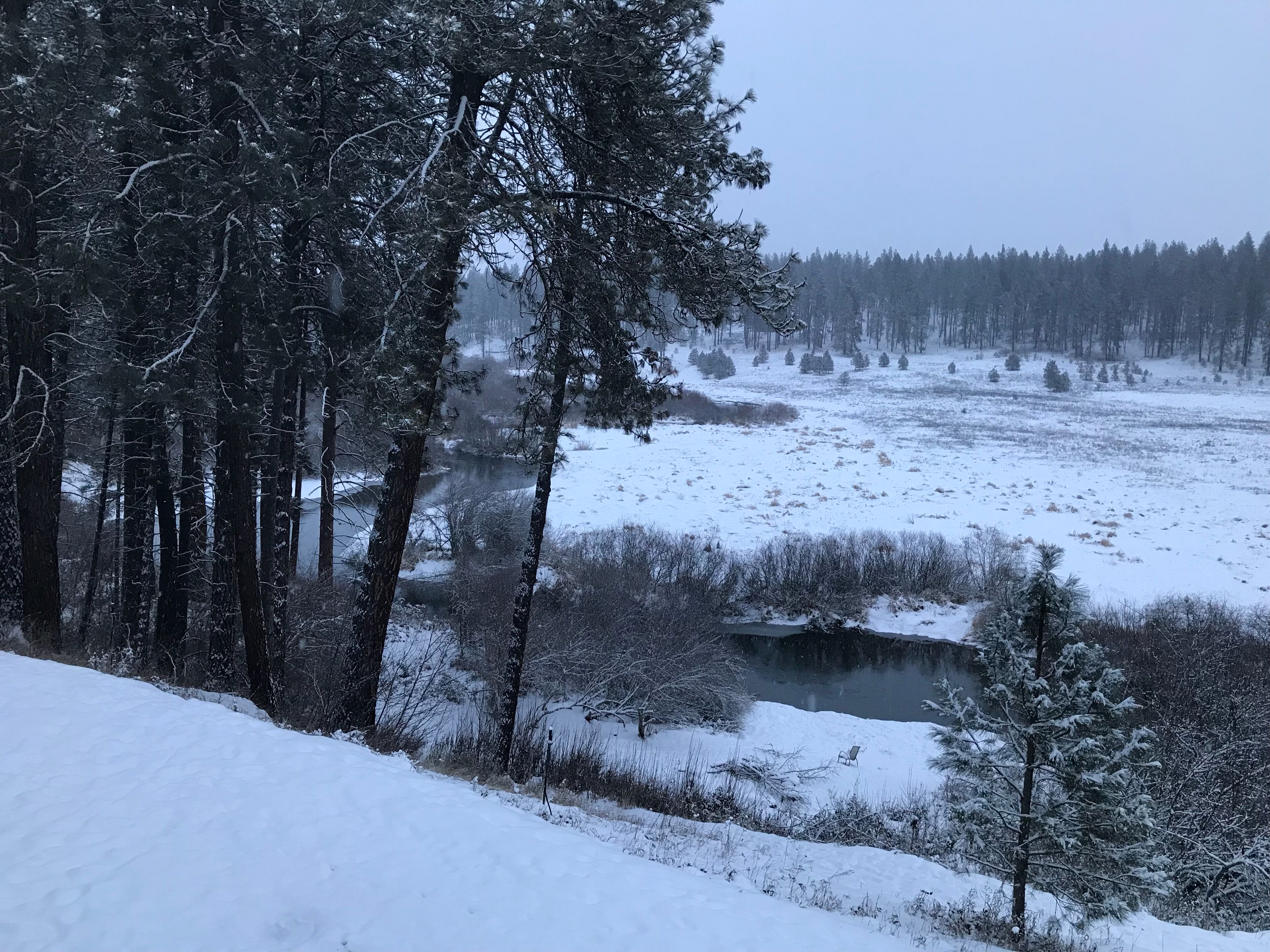 Paisaje nevado con un río, árboles y un bosque distante.