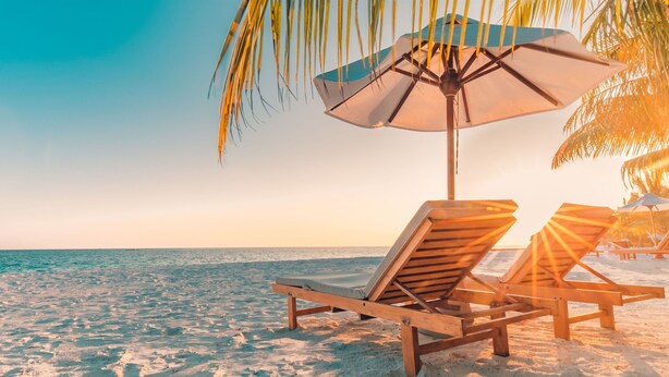 Escena de playa con dos sillas de madera para tomar el sol bajo una sombrilla, una palmera y el océano al fondo.