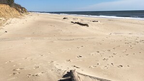 Une plage de sable avec un gros morceau de bois flotté au premier plan, un ciel bleu clair et des vagues de l’océan en arrière-plan.