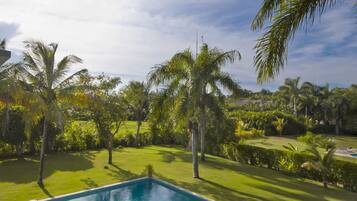 A swimming pool with a wooden deck and lounge chairs, surrounded by lush greenery and palm trees.