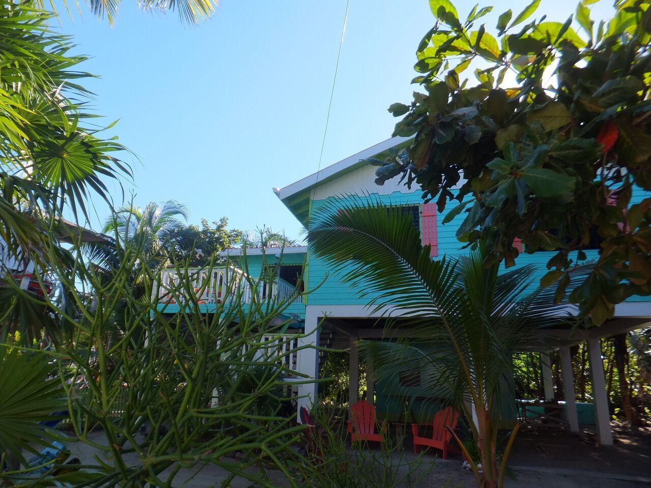 Un edificio de dos pisos con fachada azul y blanca, rodeado de follaje tropical.