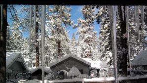 Un paysage enneigé, avec des chalets en bois, entouré de grands arbres.