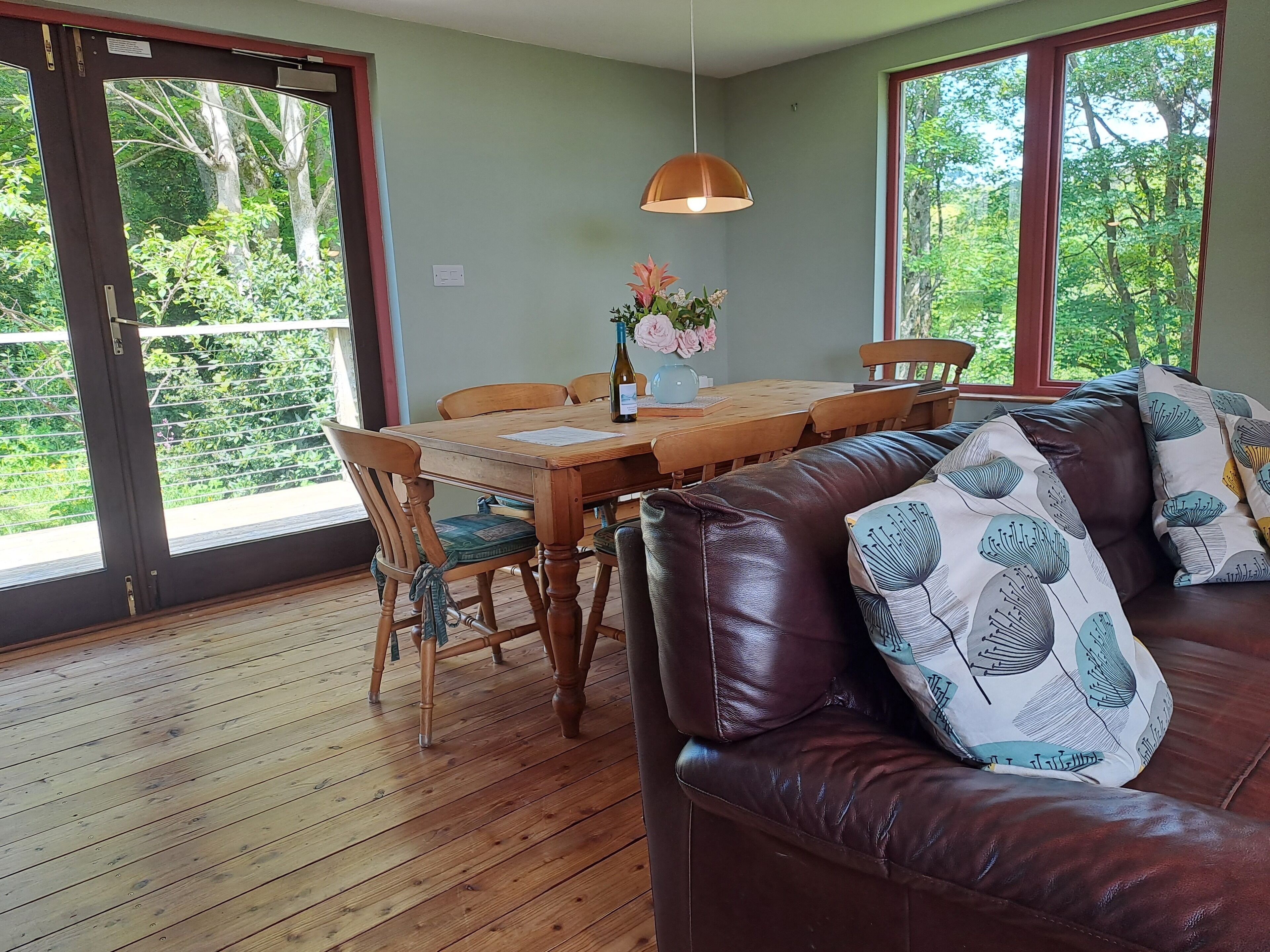 Smart TV, DVD player, books, video library