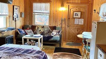 1 chambre, fer et planche à repasser, Wi-Fi gratuit, draps fournis