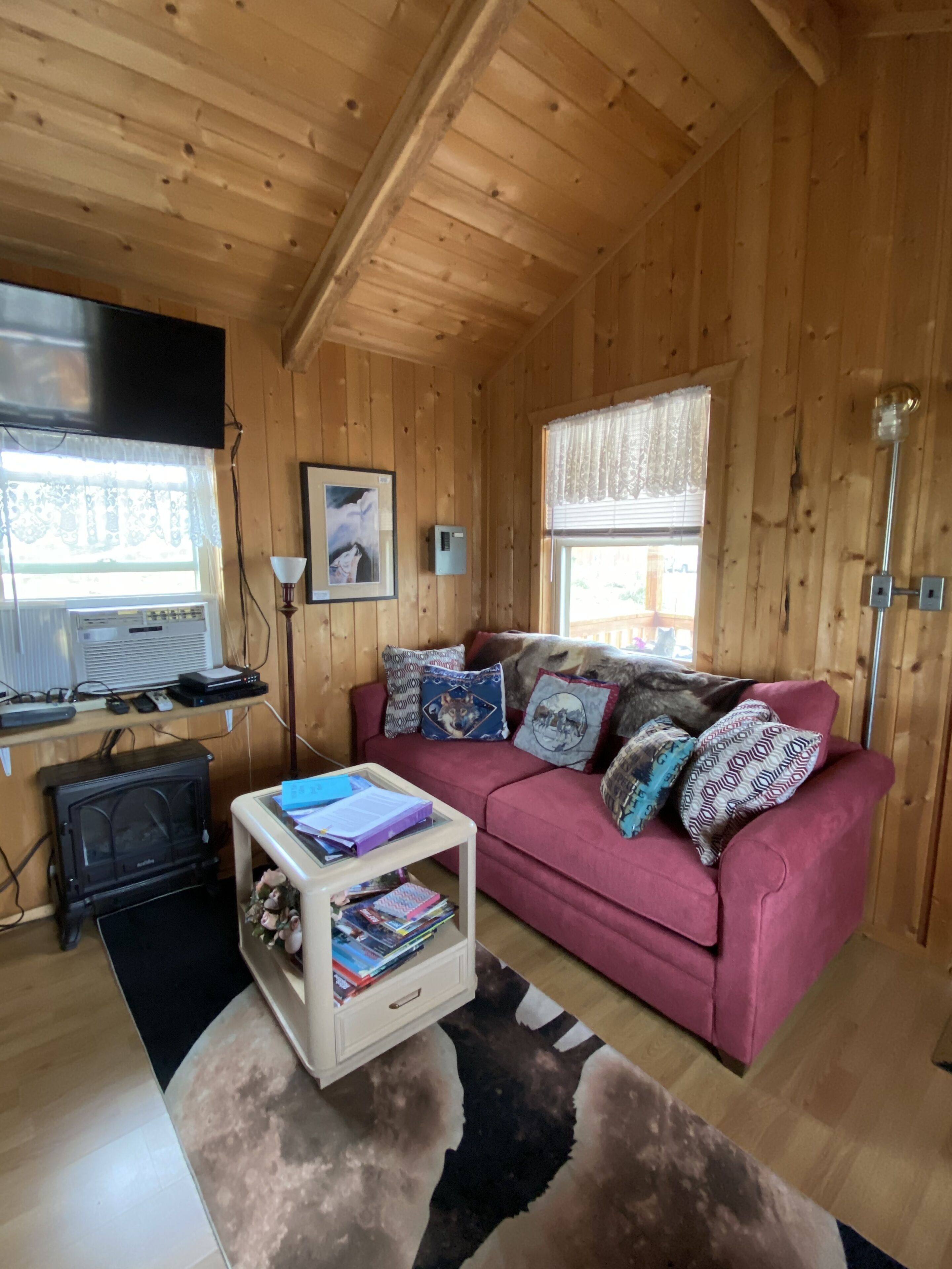 Televisión, chimenea, reproductor de DVD y libros 