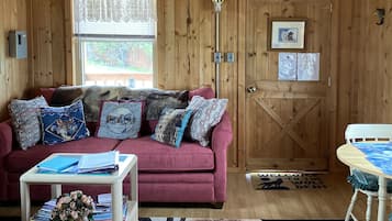 TV, fireplace, DVD player, books