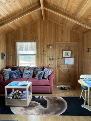 TV, fireplace, DVD player, books