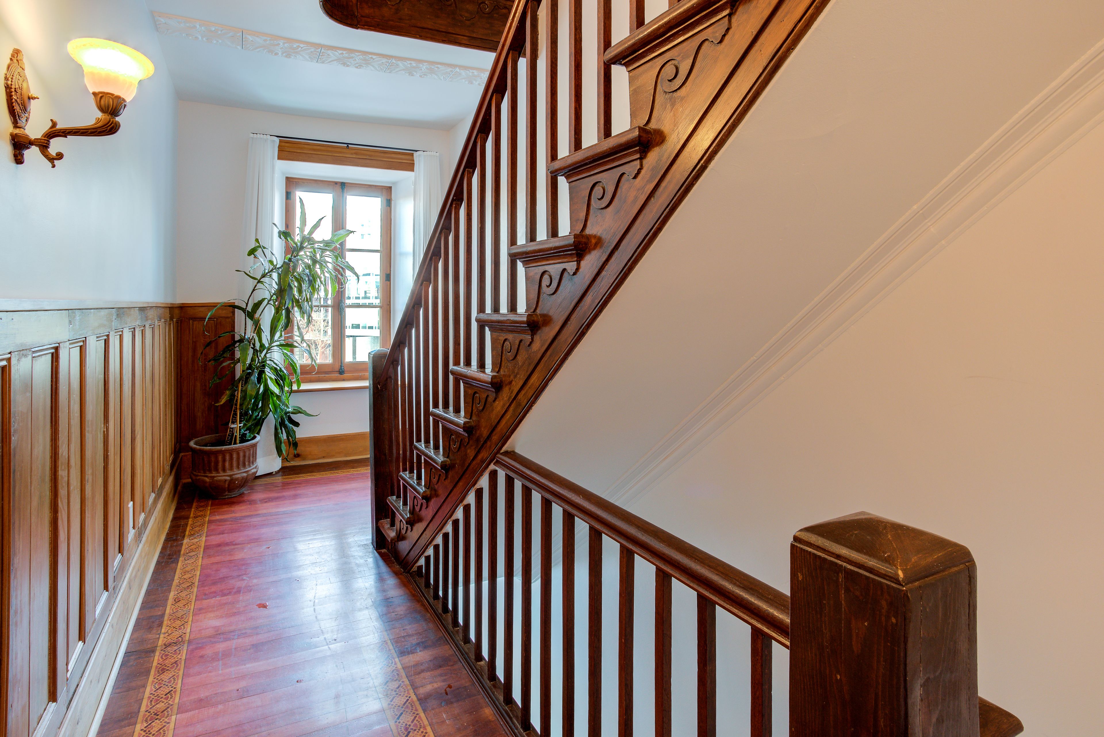 A wooden staircase with a handrail, a potted plant, and a window at the top.