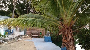 Eine Beton-Terrasse mit einer Palme, einem Holzzaun und einer blauen Struktur.