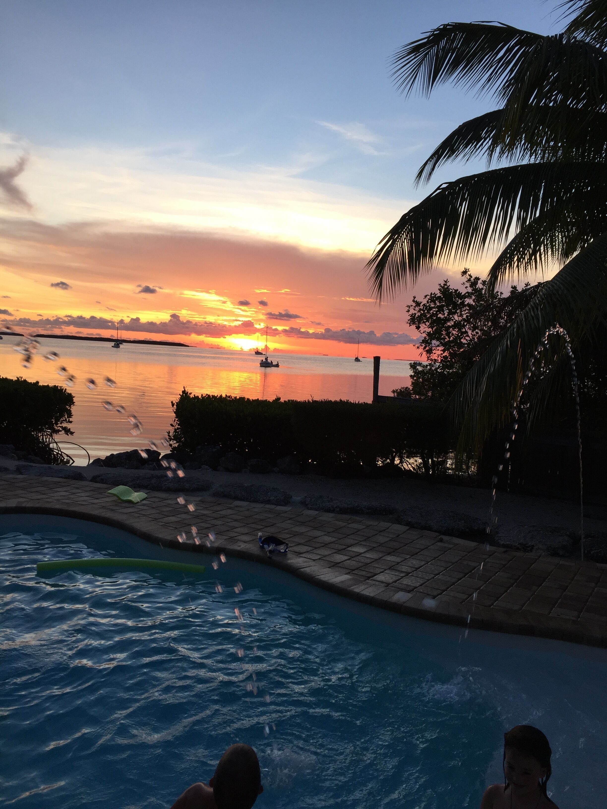 A swimming pool with a sunset view, a palm tree, and a distant shoreline.