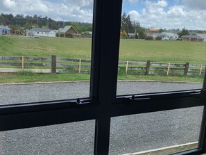 Kamar Double | Pemandangan dari kamar