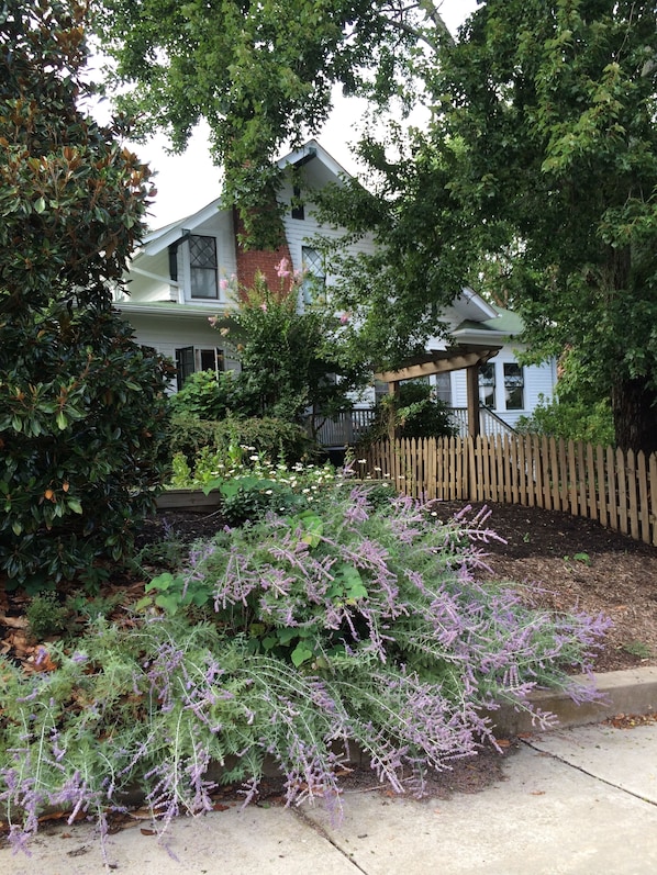 A residential house with a front yard, a wooden fence, and a garden with purple flowers.