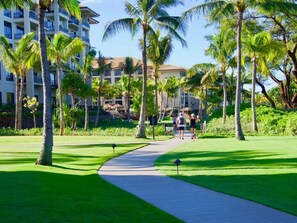 A pathway leading to a building with multiple floors, surrounded by palm trees and greenery.