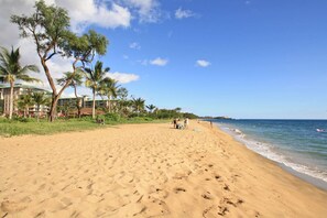 Una playa arenosa con palmeras y un edificio al fondo.