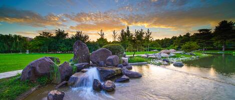 A serene park with a small waterfall, large rocks, and a pond.