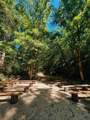 Un camping arbolado con mesas de picnic y un camino de grava.