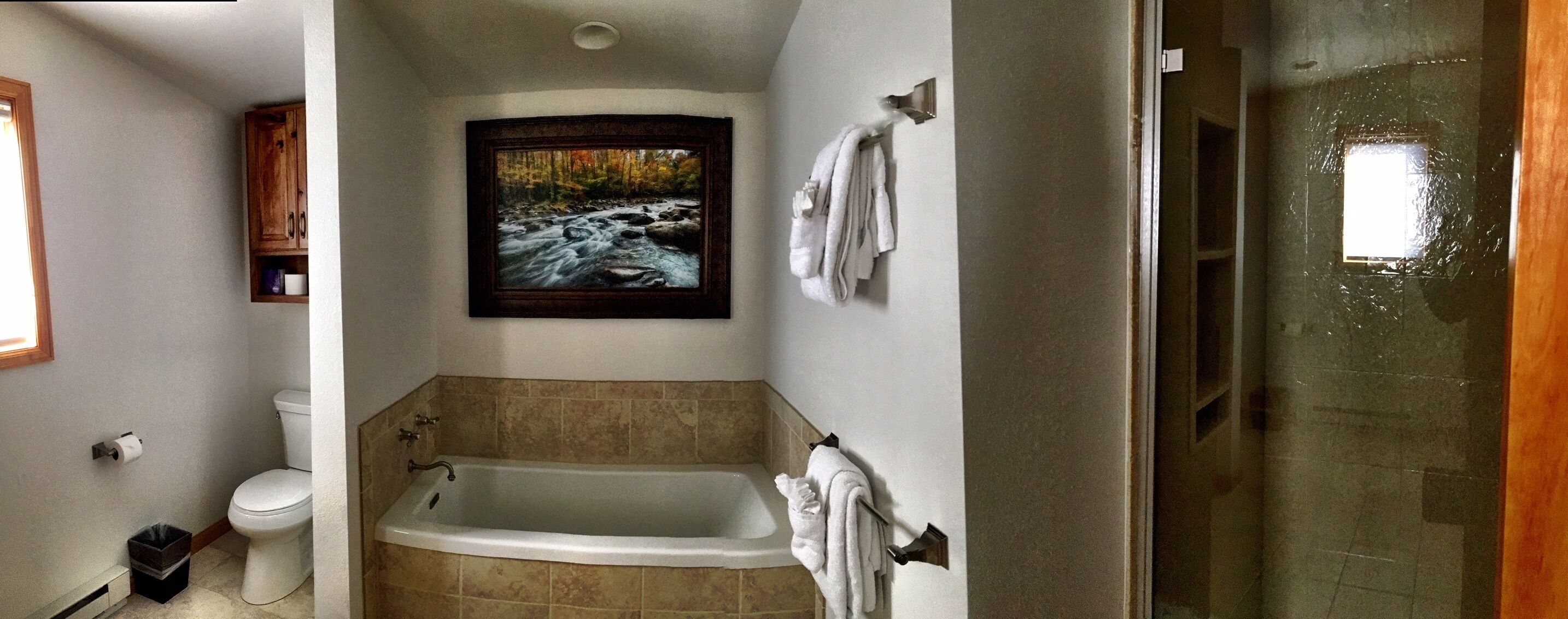 Combined shower/tub, hair dryer, towels
