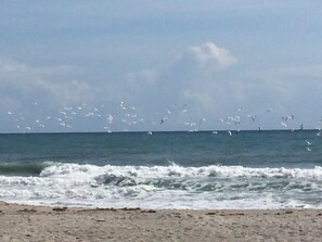 On the beach, sun-loungers, beach towels