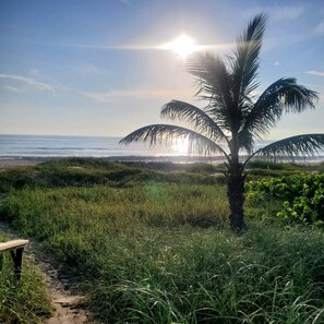 On the beach, sun loungers, beach towels