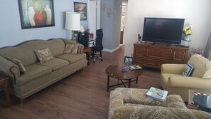 Smart TV, DVD player, books, video library