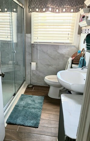 Shower, hair dryer, towels, soap