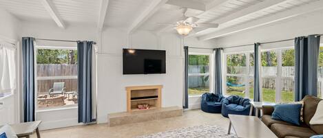 TV, DVD player, books, video library