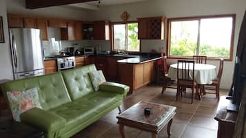 TV, DVD player, books, video library